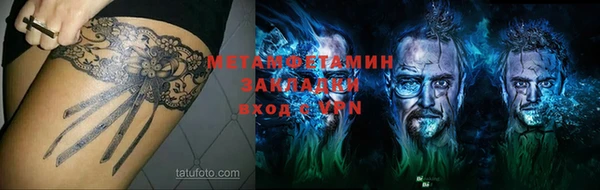 гидра Михайловка