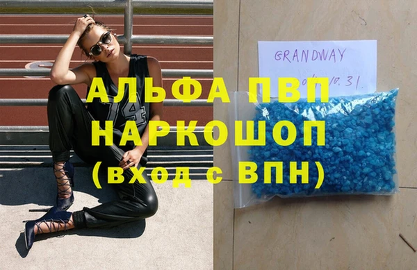 гидра Михайловка