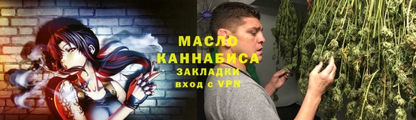 гидра Михайловка