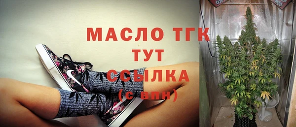 гидра Михайловка
