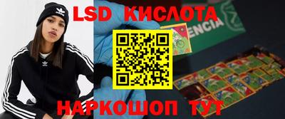 гидра Заволжье