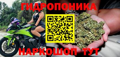 гидра Заволжье
