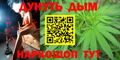 сатива Бийск