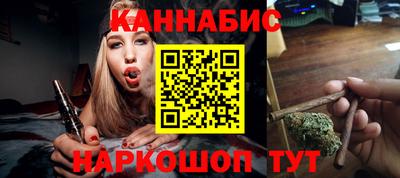 сатива Бийск