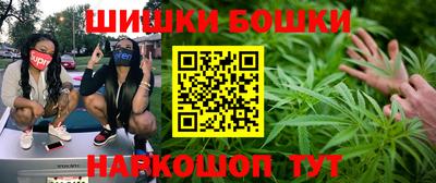 сатива Бийск