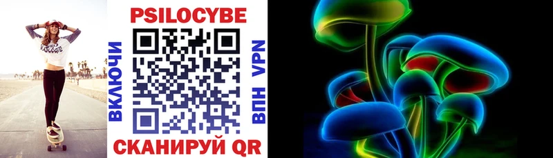 Галлюциногенные грибы Psilocybe  Новокузнецк 